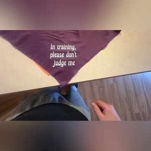 Purple Dog Bandana - In Training